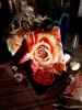 Roberto Cavalli roses