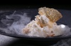 Dinya pod karamelju iz klenovogo syropa s morozhenym iz kalamansi_AQ Kitchen_1