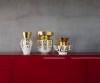 коллекция ваз от versace