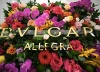 bvlgari_allegra_collection