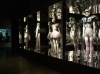 В Лондоне открылась выставка Alexander McQueen: Savage Beauty