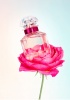 guerlain-parfume-bloom