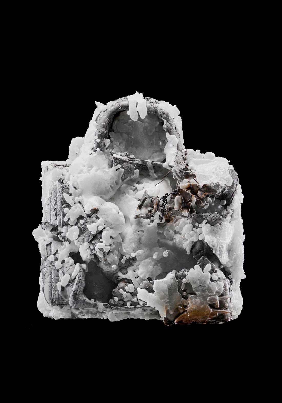 hudozhniki_interpretirovali_sumku_lady_dior