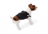 prada_collection_for_dogs