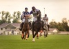 federation-cup-2019-polo